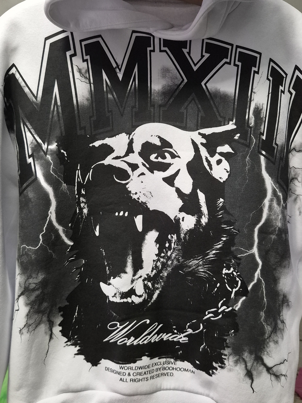 Boohoo Mens White Hoodie with Black Dog Graphic and MMXXIII Print